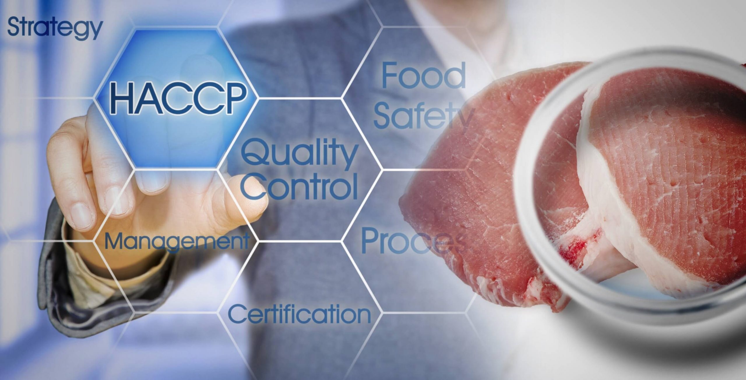 HACCP meat processing